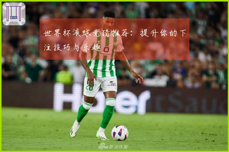 世界杯滚球竞猜推荐：提升你的下注技巧与乐趣