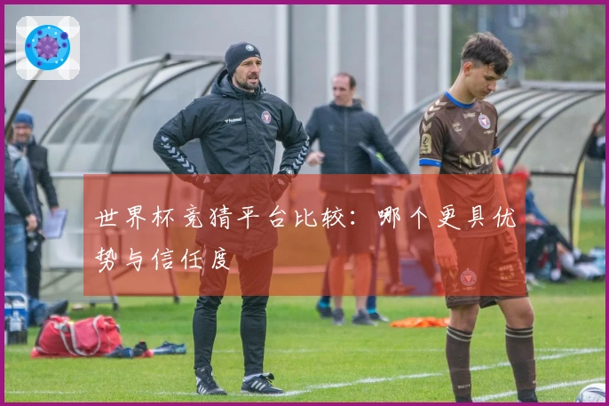 世界杯竞猜平台比较：哪个更具优势与信任度