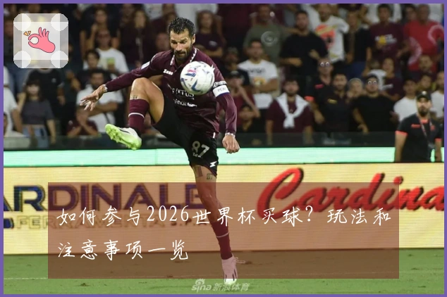 如何参与2026世界杯买球？玩法和注意事项一览