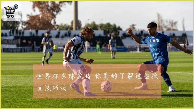 世界杯买球攻略 你真的了解这些投注技巧吗