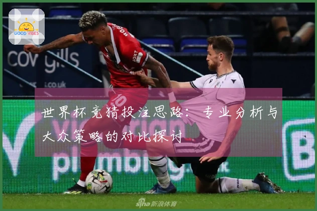 世界杯竞猜投注思路：专业分析与大众策略的对比探讨