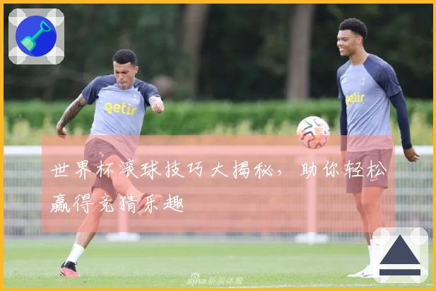 世界杯滚球技巧大揭秘，助你轻松赢得竞猜乐趣